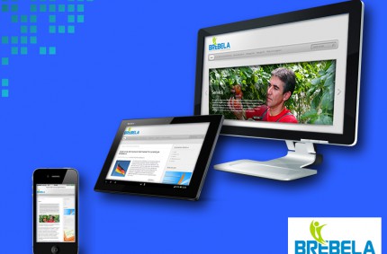 Brebela: site de prezentare firmă