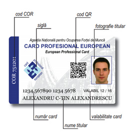 Peste 800 de meserii sunt recunoscute în Uniunea Europeană prin intermediul Cardului Profesional European